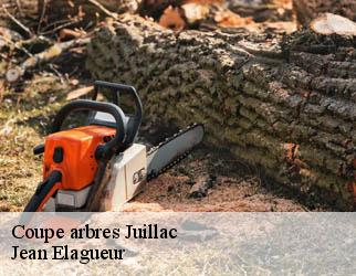 Coupe arbres juillac-19350 Jean Elagueur