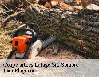 Coupe arbres lafage-sur-sombre-19320 Jean Elagueur