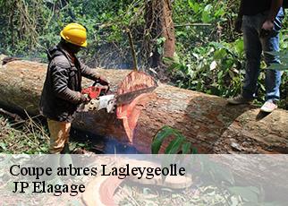 Coupe arbres lagleygeolle-19500 JP Elagage