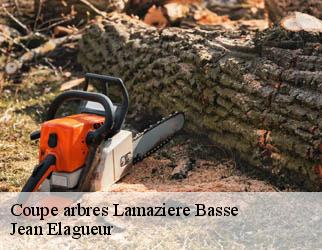 Coupe arbres lamaziere-basse-19160 Jean Elagueur