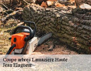 Coupe arbres lamaziere-haute-19340 Jean Elagueur