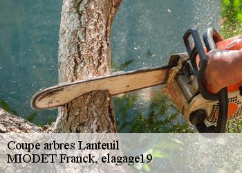 Coupe arbres  lanteuil-19190 MIODET Franck, elagage19