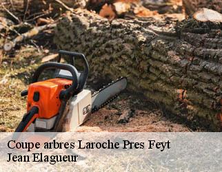 Coupe arbres  laroche-pres-feyt-19340 Jean Elagueur