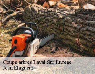Coupe arbres laval-sur-luzege-19550 Jean Elagueur