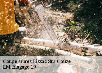 Coupe arbres  19600