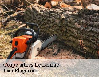 Coupe arbres  le-lonzac-19470 Jean Elagueur
