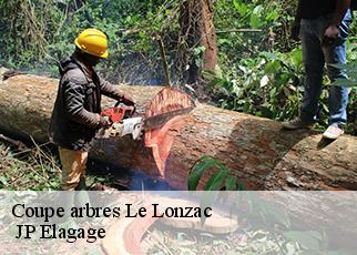 Coupe arbres le-lonzac-19470 JP Elagage