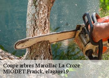 Coupe arbres  marcillac-la-croze-19500 MIODET Franck, elagage19