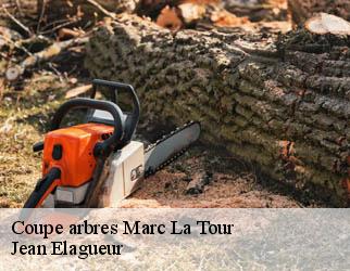 Coupe arbres marc-la-tour-19150 Jean Elagueur