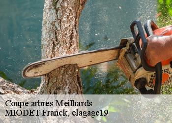 Coupe arbres  meilhards-19510 MIODET Franck, elagage19