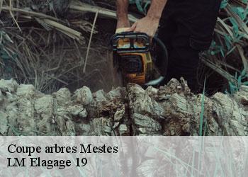Coupe arbres mestes-19200 LM Elagage 19