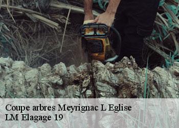 Coupe arbres meyrignac-l-eglise-19800 LM Elagage 19