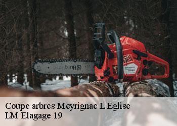 Coupe arbres 19800
