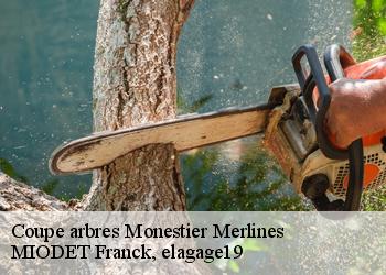 Coupe arbres  monestier-merlines-19340 MIODET Franck, elagage19