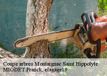 Coupe arbres  montaignac-saint-hippolyte-19300 MIODET Franck, elagage19