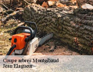 Coupe arbres montgibaud-19210 Jean Elagueur