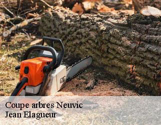 Coupe arbres neuvic-19160 Jean Elagueur