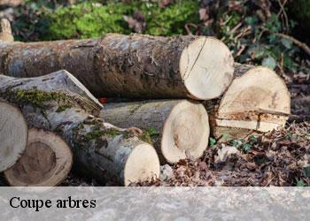 Coupe arbres  19500
