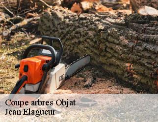 Coupe arbres objat-19130 Jean Elagueur