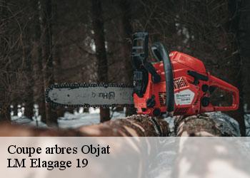 Coupe arbres  19130