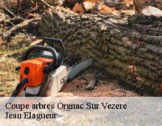 Coupe arbres orgnac-sur-vezere-19410 Jean Elagueur