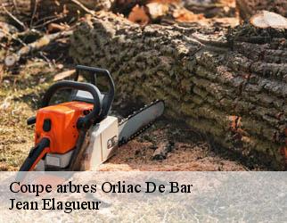 Coupe arbres orliac-de-bar-19390 Jean Elagueur
