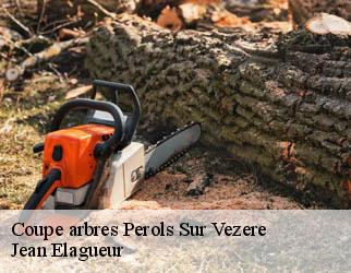 Coupe arbres perols-sur-vezere-19170 Jean Elagueur