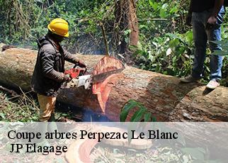 Coupe arbres perpezac-le-blanc-19310 JP Elagage