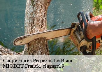 Coupe arbres  perpezac-le-blanc-19310 MIODET Franck, elagage19