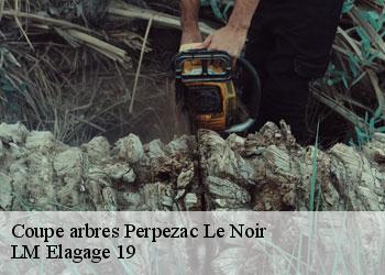 Coupe arbres perpezac-le-noir-19410 LM Elagage 19