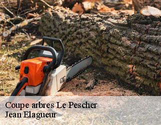 Coupe arbres le-pescher-19190 Jean Elagueur