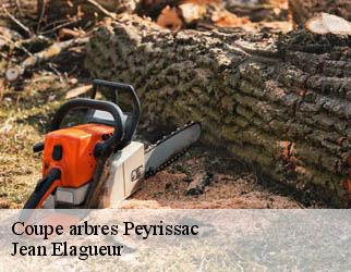Coupe arbres  peyrissac-19260 Jean Elagueur