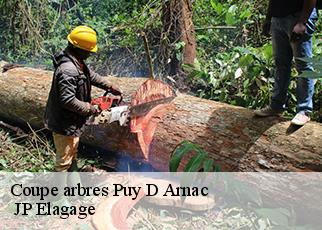 Coupe arbres puy-d-arnac-19120 JP Elagage
