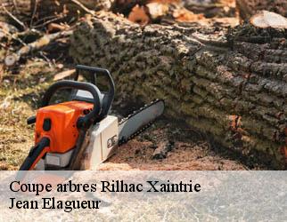 Coupe arbres  rilhac-xaintrie-19220 Jean Elagueur