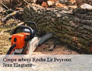 Coupe arbres roche-le-peyroux-19160 Jean Elagueur