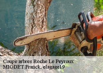 Coupe arbres  roche-le-peyroux-19160 MIODET Franck, elagage19