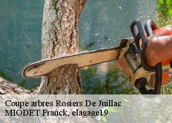 Coupe arbres  rosiers-de-juillac-19350 MIODET Franck, elagage19