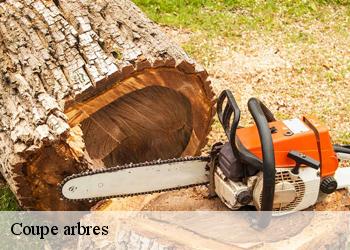 Coupe arbres