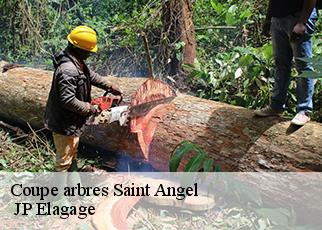 Coupe arbres  saint-angel-19200 MIODET Franck, elagage19