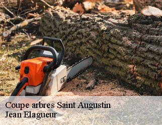 Coupe arbres saint-augustin-19390 Jean Elagueur
