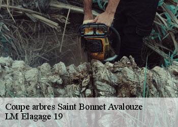Coupe arbres saint-bonnet-avalouze-19150 LM Elagage 19