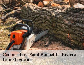 Coupe arbres saint-bonnet-la-riviere-19130 Jean Elagueur