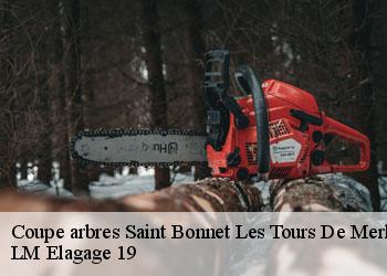 Coupe arbres 19430