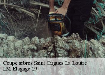 Coupe arbres saint-cirgues-la-loutre-19220 LM Elagage 19