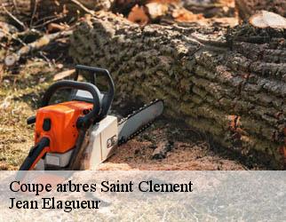 Coupe arbres saint-clement-19700 Jean Elagueur