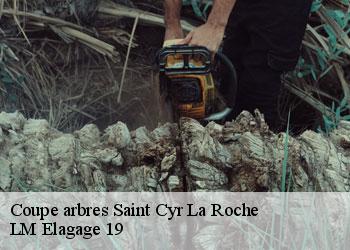Coupe arbres  saint-cyr-la-roche-19130 LM Elagage 19