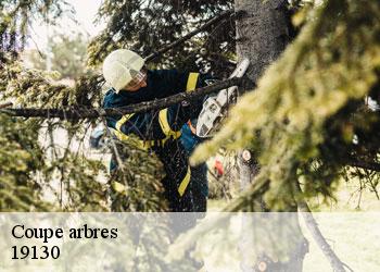 Coupe arbres  19130