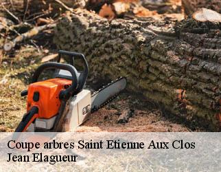 Coupe arbres saint-etienne-aux-clos-19200 Jean Elagueur