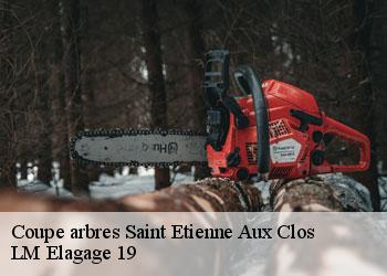 Coupe arbres  19200