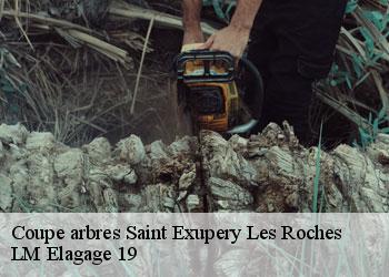 Coupe arbres saint-exupery-les-roches-19200 LM Elagage 19